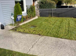 Susan D.'s Lawn Mowing Service service result