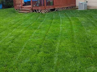 Heidi N.'s Lawn Mowing service result