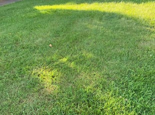 Caleb W.'s Lawn Care service result