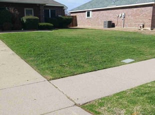 Arlene B.'s Lawn Mowing Service service result