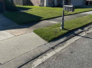 Nancy L.'s Grass Cutting service result