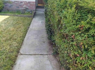 Bush Trimming by Katrina Keener for Justin S. in Manteca, CA