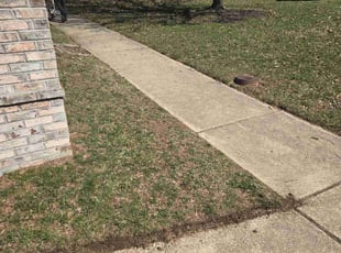 Leaf Removal by Billy Stone Jr for Elisa E. in Bel Air, MD