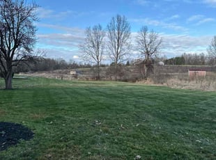 Susan S.'s Lawn Mowing Service service result