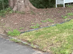 Leaf Removal by Edward Wilder for Vicki Y. in Silver Spring, MD