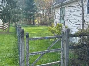 Vanessa L.'s Lawn Mowing Service service result