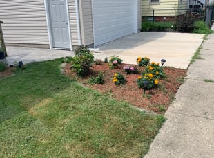 Weeding by Timothy Holt for Wing L. in Cleveland, OH