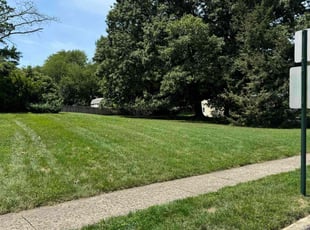 Lonzine W.'s Lawn Service service result