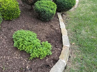 Weeding by Patrick Stewart for Shelley T. in McKinney, TX