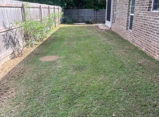 Leaf Removal by Shaun Gaston for Christine C. in Pensacola, FL