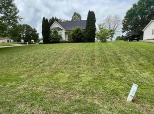 Bettie C.'s Lawn Maintenance service result