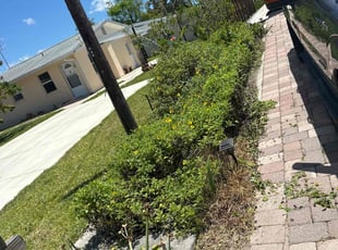Bush Trimming by Peterson Dariste for Joe W. in Venice, FL