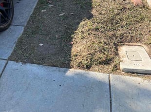Cleanups by Keith Dalke for Sharon Y. in San Diego, CA