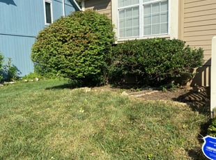 Bush Trimming by James Skivers for Sara N. in Lee's Summit, MO