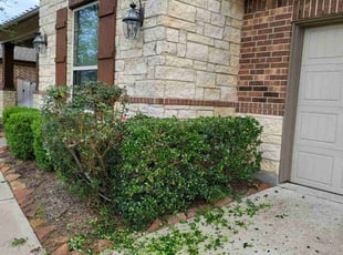 Bush Trimming by Briana Rivera for Jane H. in Katy, TX
