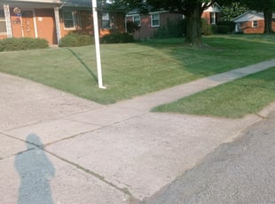 Bush Trimming by Niesha Lomax for Kiely D. in Speedway, IN