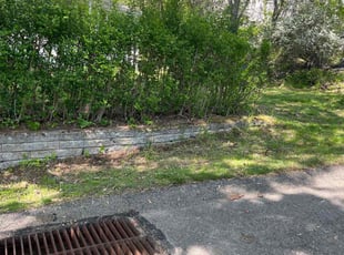Leaf Removal by Tajaya Thompson for Teri K. in Allison Park, PA