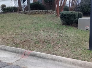Cleanups by Michael Martin for Grace C. in Greensboro, NC