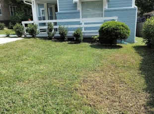 Leaf Removal by William King for Bella M. in Nashville, TN