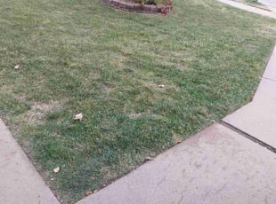 Leaf Removal by Robert Bond for Timothy J. in Council Bluffs, IA