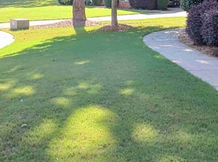 Alec s.'s Lawn Care service result