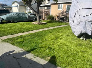 Bernice B.'s Lawn Service service result