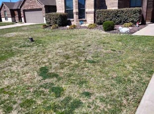 Carlyn H.'s Lawn Service service result