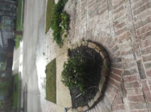 Bush Trimming by Aundra Thomas for Mariam K. in Kennedale, TX