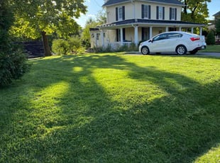Jalpa P.'s Lawn Care service result