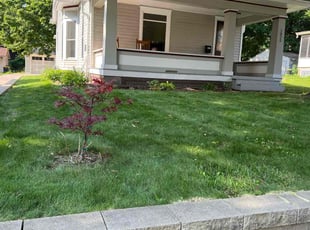 Randy m.'s Lawn Mowing service result