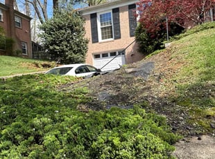 Weeding by Luiz Gosling De Oliveira for Raymond H. in Rockville, MD