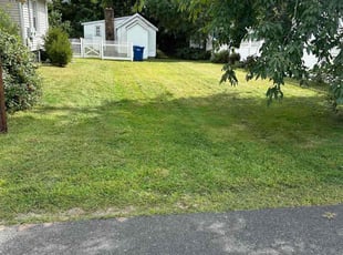 Kaylin M.'s Lawn Care service result