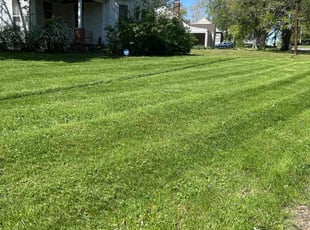 Rebecca W.'s Lawn Maintenance service result