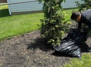 Weeding by Ted Reimel for Amber M. in Haddonfield, NJ