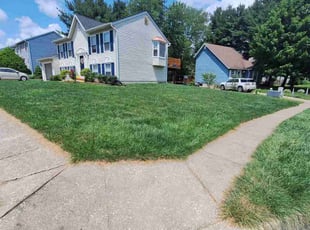 Ian C.'s Lawn Care service result