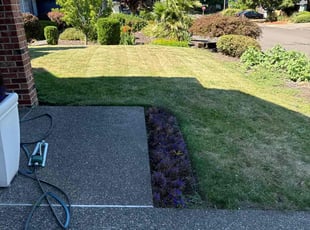 Sonja H.'s Lawn Care service result