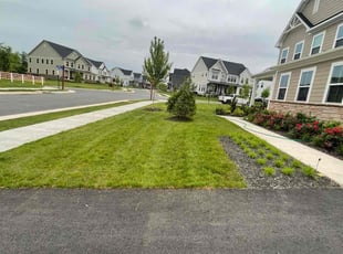MIKE C.'s Lawn Mowing service result