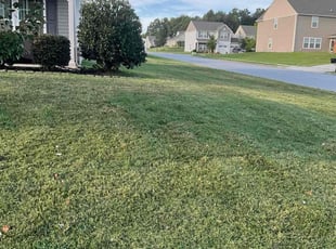 Carol M.'s Lawn Service service result