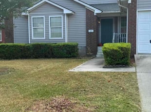 Bush Trimming by Henry Arkwright for Matthew S. in Savannah, GA
