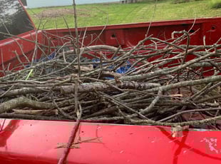 Cleanups by Zachary Sizemore for Talya S. in Columbus, OH