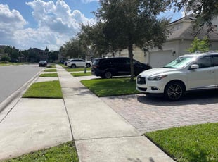 Syrina M.'s Yard Cutting service result