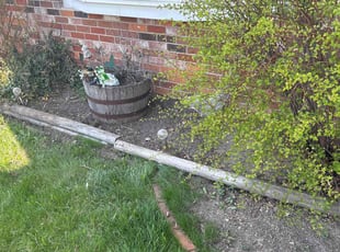 Weeding by Anthony Rieck for Cheryl D. in Cudahy, WI