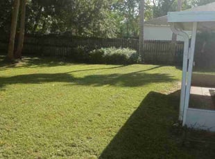 Leaf Removal by Shane Ray for Kevin l. in Cocoa, FL