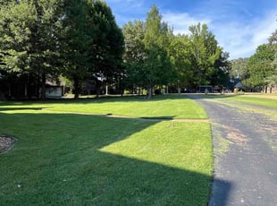 Elizabeth B.'s Lawn Care service result