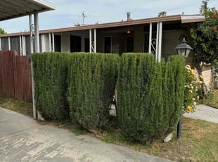Bush Trimming by Justin Gallardo for Paul E. in Eastvale, CA