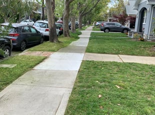 Cleanups by Jonathan Allen for Brian F. in Sacramento, CA