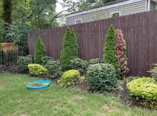 Bush Trimming by Cyntmara Home and Lawns for Paul S. in Smyrna, GA