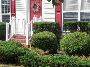 George F.'s Bush Trimming service result