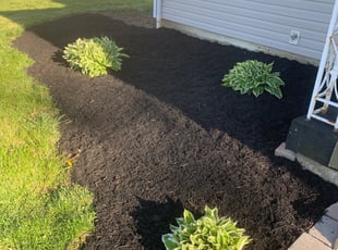 Mulching by Andrew Carpenter for William S. in Columbus, OH