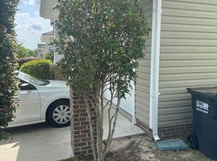 Bush Trimming by Edilson Pineda for Wendy S. in Lexington, SC